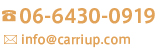 0780392-1181 info@carriup.com